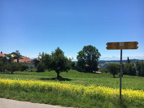 Alpenblick Ferenberg Bern