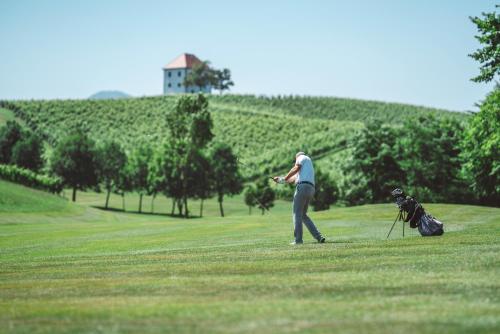 Wine Grower's Mansion Zlati Gric