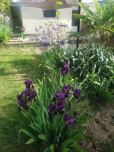 Kert, Studio Buena Vista avec terrasse sur jardin in Bron