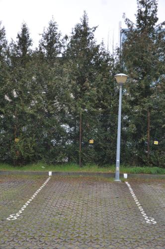 WROCLOVE_NET MUCHOBOR WROCLOVE_NET MUCHOBOR