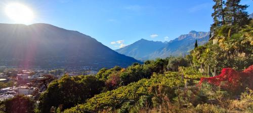LA LIBELLA - slow living Suites, Merano (fotografie 5)