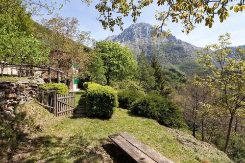  The starlight experience in Levigliani