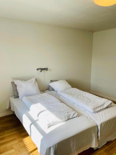 Bui Hotel Humble - image 11