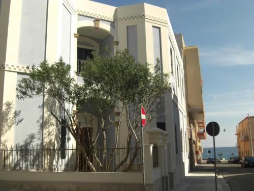 B&B Barone Liberty - image 3