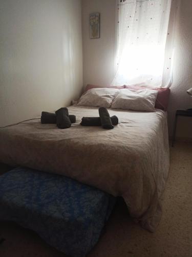 El Rincón de Umbria El Rincón de Umbria