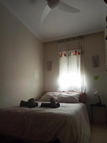 El Rincón de Umbria El Rincón de Umbria