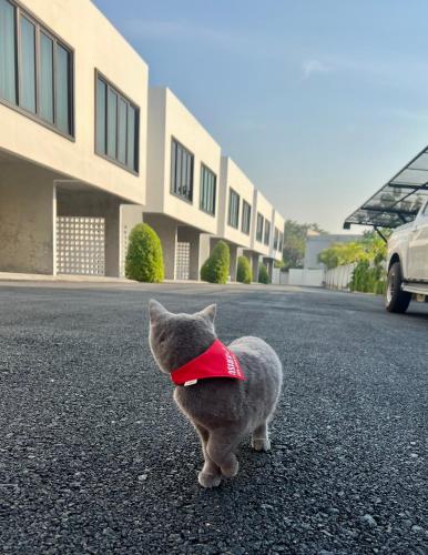 Cicada Hotel Kanchanaburi – Kanchanaburi, LA