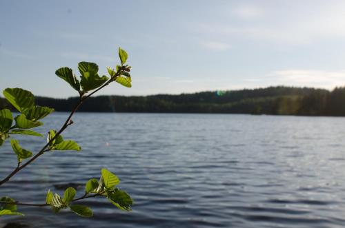 Kloten Nature Resort