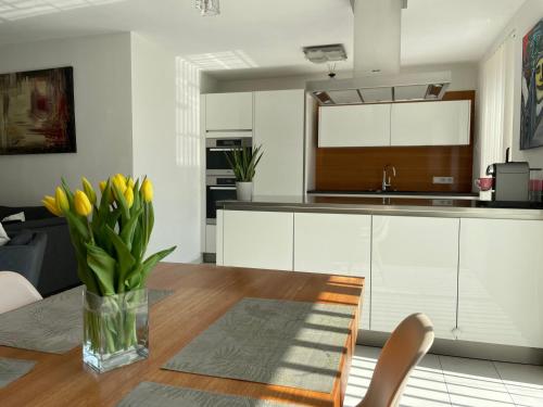 Зручності, "Ferienhaus am Mondsee" mit direktem Schafbergblick im Salzkammergut bei Salzburg in Мондзеє