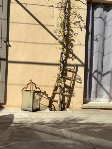 jardin d'antan 4