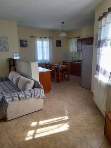 SummerAndros Skalario, Andros (photo 4)