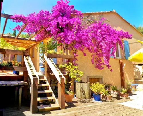 Lou Pantai - Location, gîte - Villeneuve-Loubet