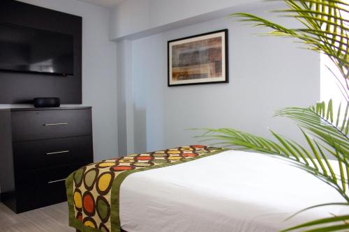 Sun & Sand Resort Oceanfront Suites in Virginia Beach, USA