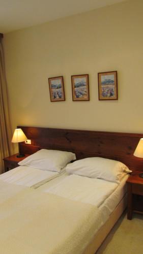 Bansko St Ivan Rilski Luxury Apartment 4 stars Free SPA & Mineral water