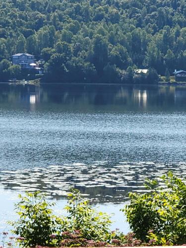 Sheldon Cozy on Lake Cottage with Private Jacuzzi