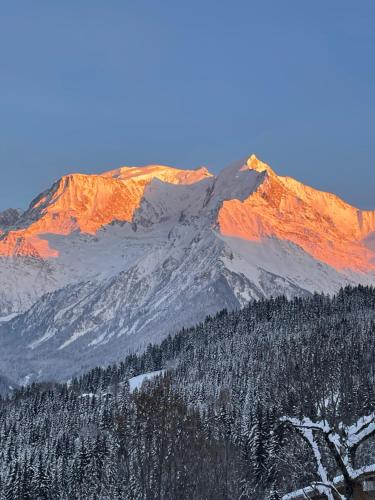 Vue splendide Mont Blanc - Location saisonnière - Saint-Gervais-les-Bains