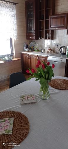 Domek z Piernika 729-656-514 in Ropienka