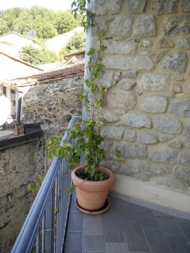 Casa Torre con terrazza panoramica