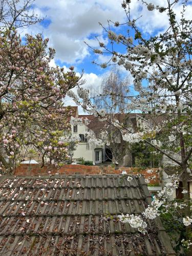 Belle F2 centre ville Massy avec jardin