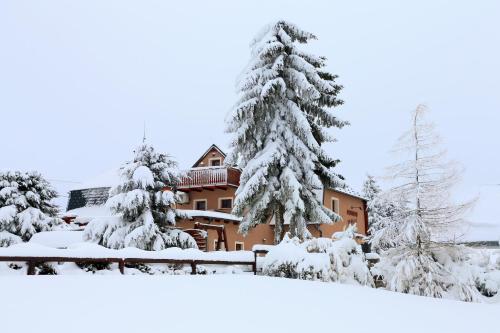 Pension H.Blatná - image 2