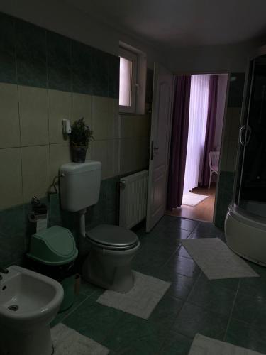 Vila CCC, Oradea (foto 10)