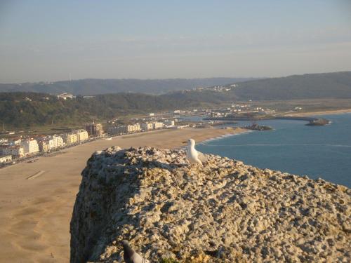 Hotel Ancora Mar - image 5