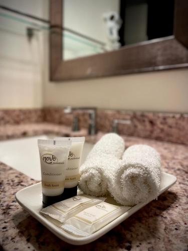 Sheridan Suites Apartments - image 7