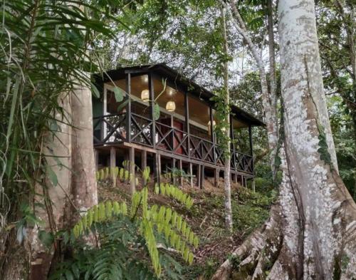 . Eco Hotel Aldea -AMAZONAS