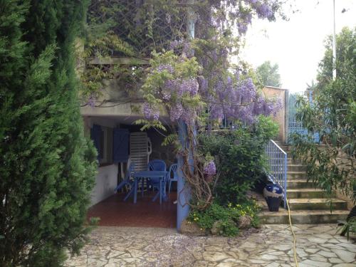 Maison du cèdre - Location saisonnière - Cavalaire-sur-Mer