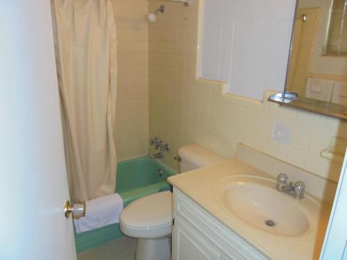 Pinelodge Motel - image 3