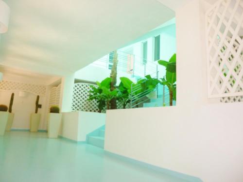 Eingang, Pensao Big Game Maio in Vila do Maio