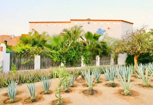 3 Bed 4 bath Ocean View with Heated Pool. in El Pueblito, Mexico