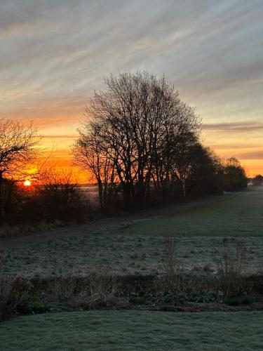 Tunneberga 1 65 in 約斯托普