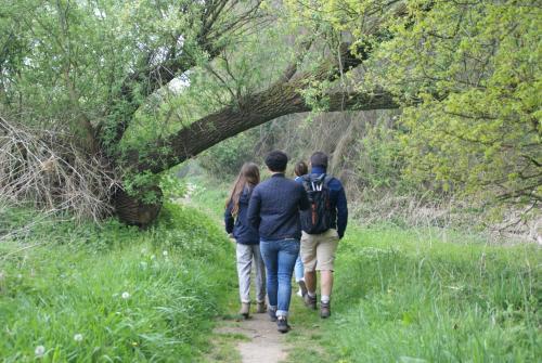 B&B Sasput - image 9