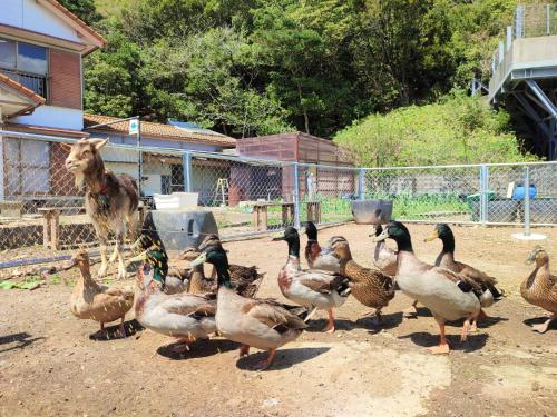 はこにわ｜田舎暮らしが体験できる宿