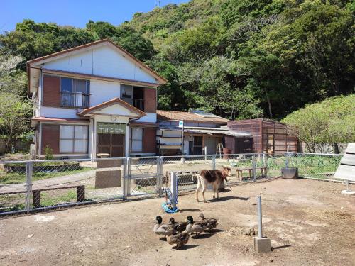 外部景觀