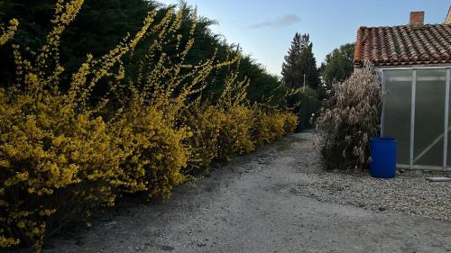 Mas des Rompides in Maillane
