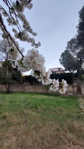 Rural Kairós "Un espacio con alma"