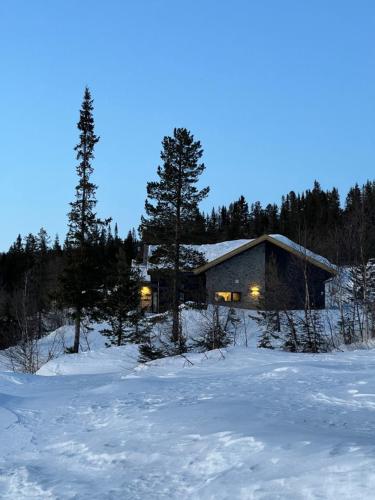 Brand new cabin on the sunny side of Gaustatoppen with a great view