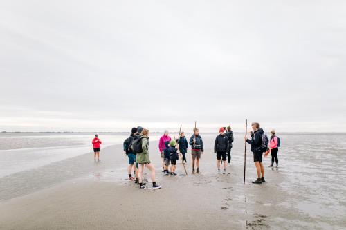 Logementen Dokkum in Dongeradeel