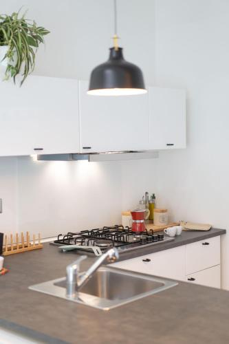 One-Bedroom Apartment image 6