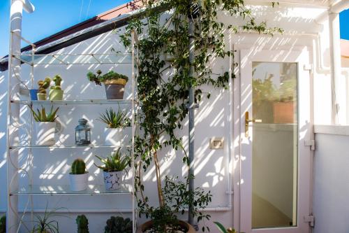 B&B Casa Dorsi – Polignano a Mare, LA
