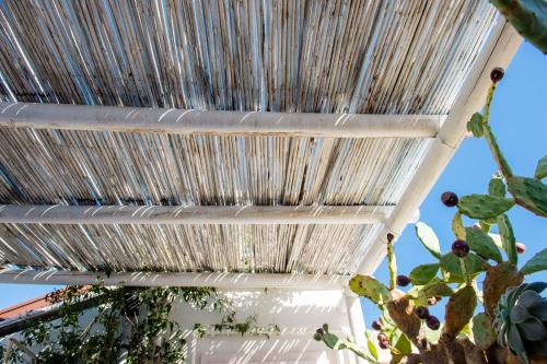 B&B Casa Dorsi - image 10
