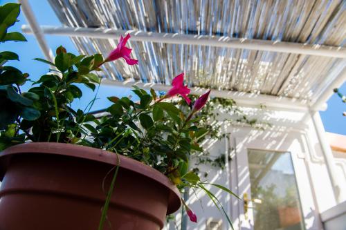 B&B Casa Dorsi - image 2