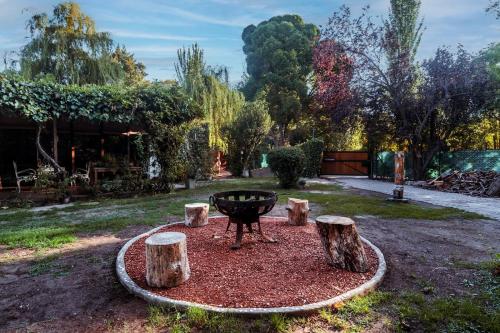 ESPACIO RAKU