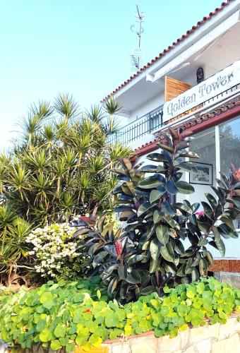  GOLDEN TOWER pensión Auto Check-in in Gandía