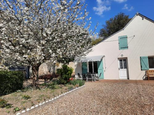 B&B Noizay - Gîte Le Petit Anzan en Indre et Loire - Bed and Breakfast Noizay