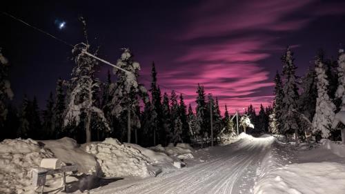 Lapland Snow Cabin