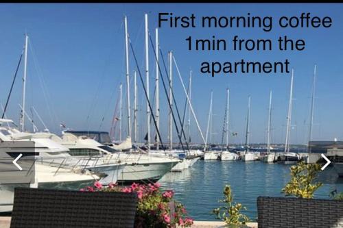 Apartment Isla with heated pool,center, near the beach, Preko (fotografie 9)