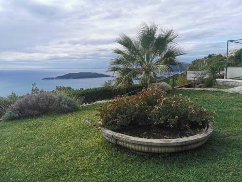 Villa image 5